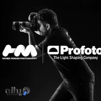 Hamed Moradi Photography