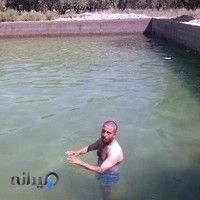 آلبوم پدیده