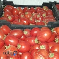 بازرگانی دریس(میوه وتره بار)