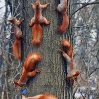 ابزار و یراق آلات صفرزداه