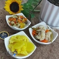 پروتئین ترشیجات گلداستار