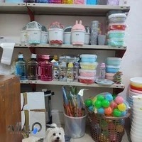 ارزانسرا پلاسکو حسابی