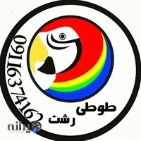 طوطی رشت،پرورش انواع عروس هلندی