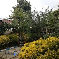 رستوران رشت بهشت