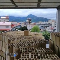 پارک پیاده رو فرهنگی شاندرمن