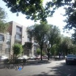 تولیدی سیسمونی پانیکو