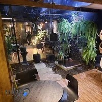 کافه راشا پلاس