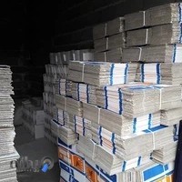 کارتن سازی خزر گیل