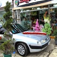 گلزار طبیعت