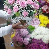 نرگس گل لنگرود