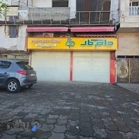 خوراک دام و طیور دام کار
