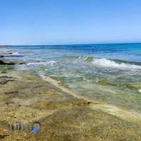 گروه گردشگری باماتور