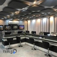 ویدا گشت ایرانیان