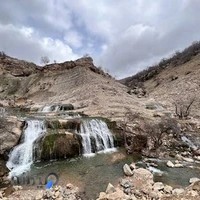آریانا سیر دالاهو