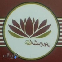 Proshot Travel Agency