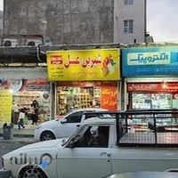 نمایندگی شیرین عسل رجایی