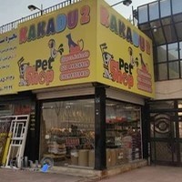 Pet shop kakadu