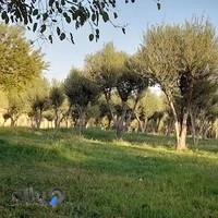 دانشکده فنی و حرفه ای دختران دکتر شریعتی