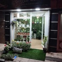 گلکده فرزانه