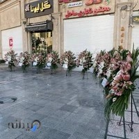 گل فروشی لیونا