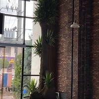 باغ گل کنتیا پلاس