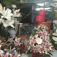 گل فروشی یاس