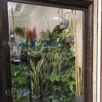 گل و گیاه افرا