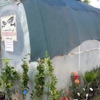 گلفروشی یاس