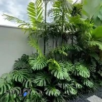 گل و گیاه یزدی