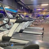 باشگاه بدنسازی Wolf Fitss