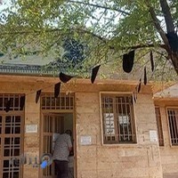 لیبل ارزان دیجی کالا