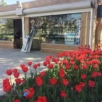 داروخانه راضیه