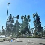 دادگستری شهرستان رامسر