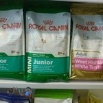 درمانگاه دامپزشکی دکتر گلیج