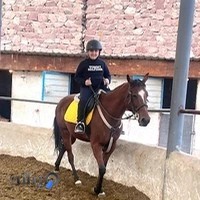 آکادمی سوارکاری امیرحسین دارابی