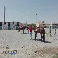 باشگاه سوارکاری سمند