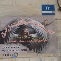 فرشتگان آرامش