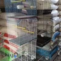 پرنده سرای ربیعی