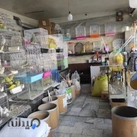 پرنده سرای دارابی