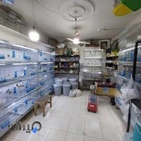 پرنده سرای سبو