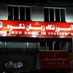 آموزشگاه زبان شکوه تنکابن