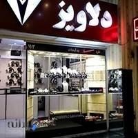 نقره و بدلیجات دلاویز