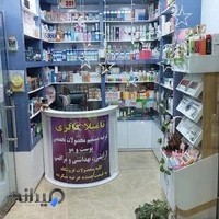 تامیلا گالری