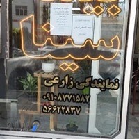 بیمه سینا نمایندگی زارعی