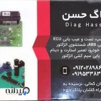 دیاگ و باتریسازی رضا