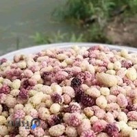 مجموعه پذيرايي تالار الغدير