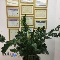 دکتر روشنک غفاری