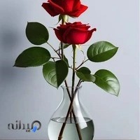 کلینیک شافی