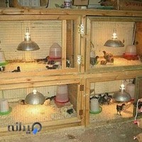 داروخانه دامپزشکی دکتر اکبری