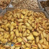 خشکبار عظیمی